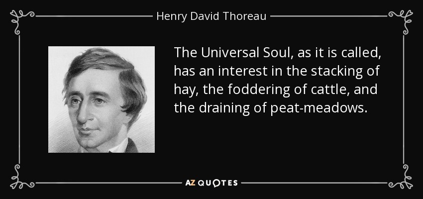 The Universal Soul, as it is called, has an interest in the stacking of hay, the foddering of cattle, and the draining of peat-meadows. - Henry David Thoreau