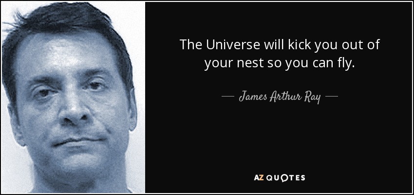 The Universe will kick you out of your nest so you can fly. - James Arthur Ray