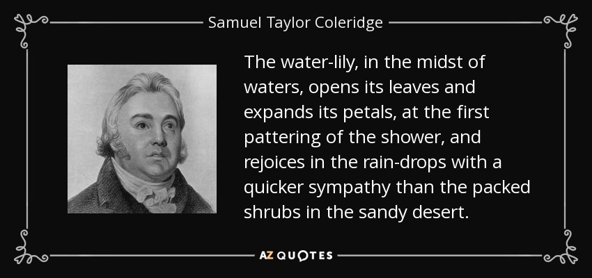 The water-lily, in the midst of waters, opens its leaves and expands its petals, at the first pattering of the shower, and rejoices in the rain-drops with a quicker sympathy than the packed shrubs in the sandy desert. - Samuel Taylor Coleridge