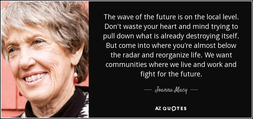 The wave of the future is on the local level. Don't waste your heart and mind trying to pull down what is already destroying itself. But come into where you're almost below the radar and reorganize life. We want communities where we live and work and fight for the future. - Joanna Macy