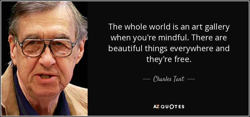 The whole world is an art gallery when you're mindful. There are beautiful things everywhere and they're free. - Charles Tart