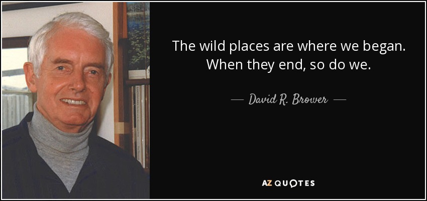 The wild places are where we began. When they end, so do we. - David R. Brower