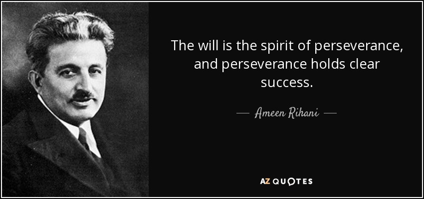 The will is the spirit of perseverance, and perseverance holds clear success. - Ameen Rihani