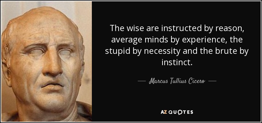 The wise are instructed by reason, average minds by experience, the stupid by necessity and the brute by instinct. - Marcus Tullius Cicero