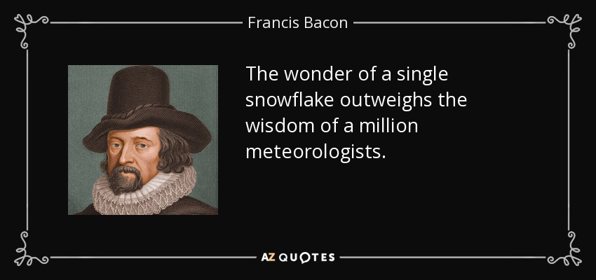 The wonder of a single snowflake outweighs the wisdom of a million meteorologists. - Francis Bacon