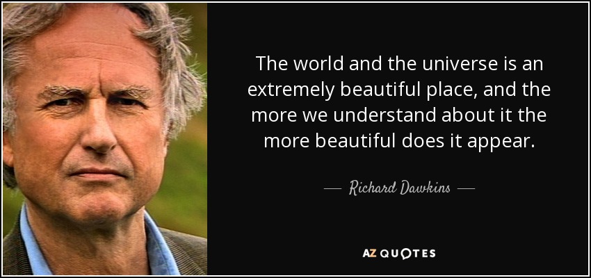 The world and the universe is an extremely beautiful place, and the more we understand about it the more beautiful does it appear. - Richard Dawkins