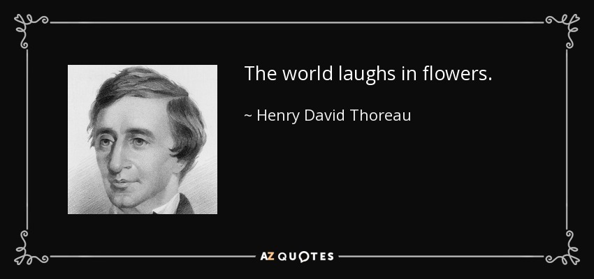 The world laughs in flowers. - Henry David Thoreau