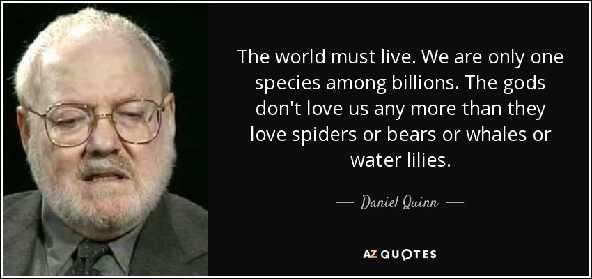 The world must live. We are only one species among billions. The gods don't love us any more than they love spiders or bears or whales or water lilies. - Daniel Quinn