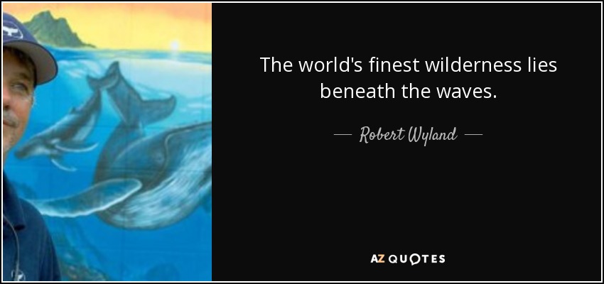 The world's finest wilderness lies beneath the waves. - Robert Wyland