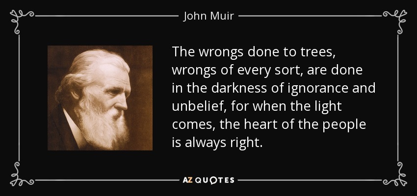The wrongs done to trees, wrongs of every sort, are done in the darkness of ignorance and unbelief, for when the light comes, the heart of the people is always right. - John Muir