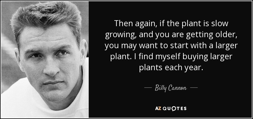 Then again, if the plant is slow growing, and you are getting older, you may want to start with a larger plant. I find myself buying larger plants each year. - Billy Cannon