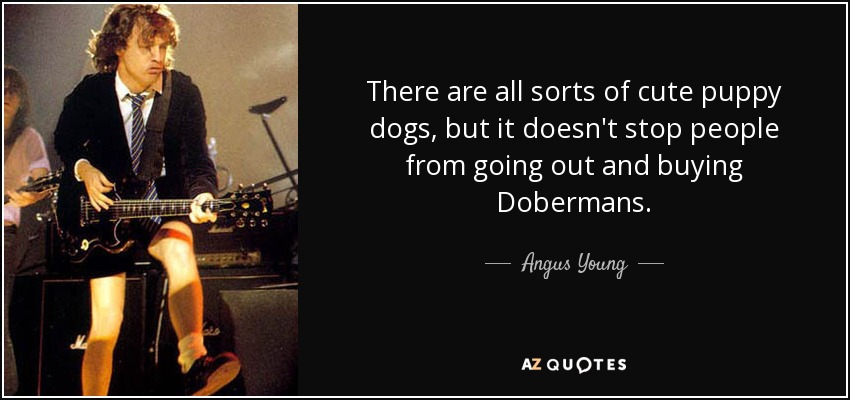 There are all sorts of cute puppy dogs, but it doesn't stop people from going out and buying Dobermans. - Angus Young