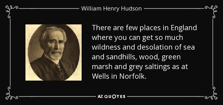 There are few places in England where you can get so much wildness and desolation of sea and sandhills, wood, green marsh and grey saltings as at Wells in Norfolk. - William Henry Hudson