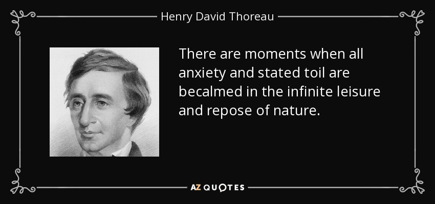 There are moments when all anxiety and stated toil are becalmed in the infinite leisure and repose of nature. - Henry David Thoreau