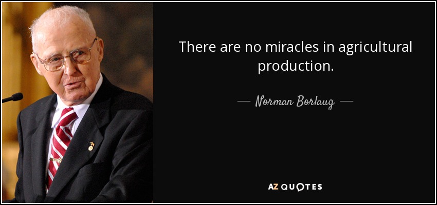 There are no miracles in agricultural production. - Norman Borlaug