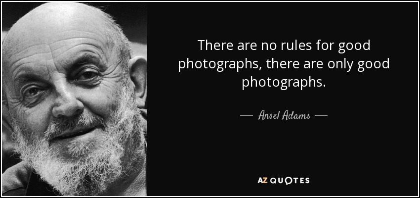 There are no rules for good photographs, there are only good photographs. - Ansel Adams