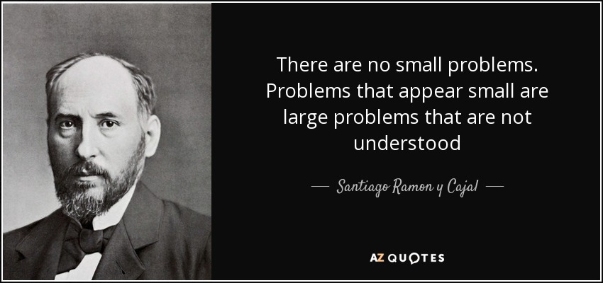 Santiago Ramon Y Cajal Quote There Are No Small Problems Problems 