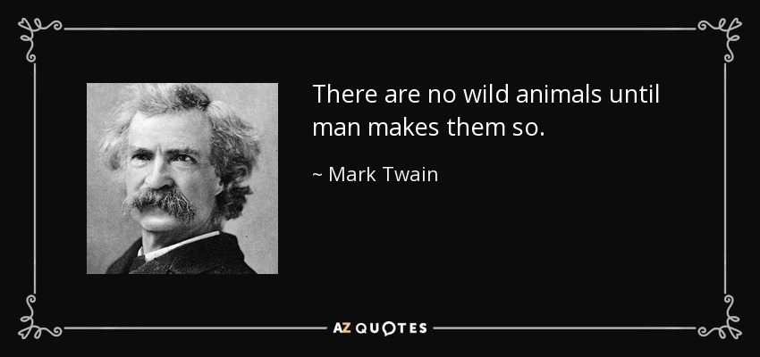 There are no wild animals until man makes them so. - Mark Twain