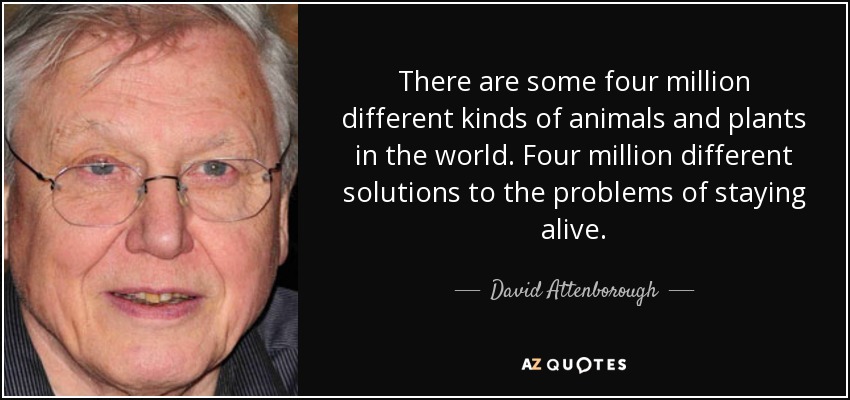 There are some four million different kinds of animals and plants in the world. Four million different solutions to the problems of staying alive. - David Attenborough