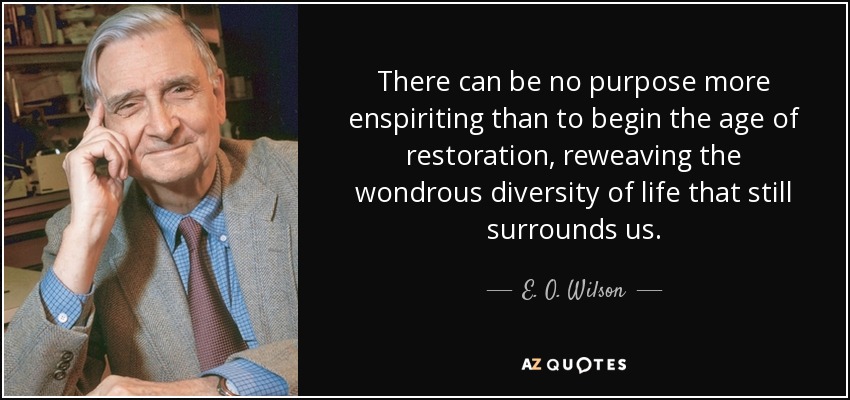 There can be no purpose more enspiriting than to begin the age of restoration, reweaving the wondrous diversity of life that still surrounds us. - E. O. Wilson