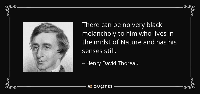 There can be no very black melancholy to him who lives in the midst of Nature and has his senses still. - Henry David Thoreau