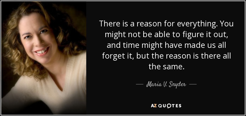 There is a reason for everything. You might not be able to figure it out, and time might have made us all forget it, but the reason is there all the same. - Maria V. Snyder