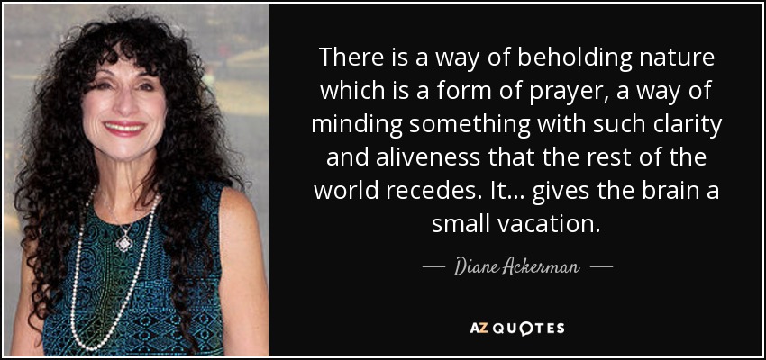 There is a way of beholding nature which is a form of prayer, a way of minding something with such clarity and aliveness that the rest of the world recedes. It . . . gives the brain a small vacation. - Diane Ackerman