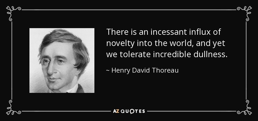 There is an incessant influx of novelty into the world, and yet we tolerate incredible dullness. - Henry David Thoreau