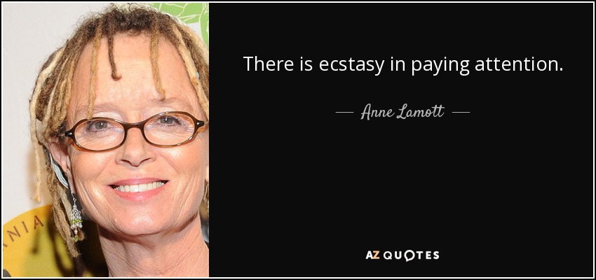 There is ecstasy in paying attention. - Anne Lamott