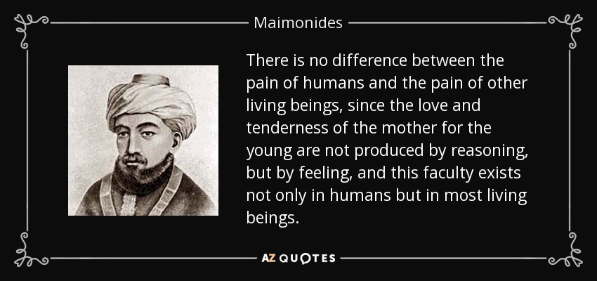 There is no difference between the pain of humans and the pain of other living beings, since the love and tenderness of the mother for the young are not produced by reasoning, but by feeling, and this faculty exists not only in humans but in most living beings. - Maimonides