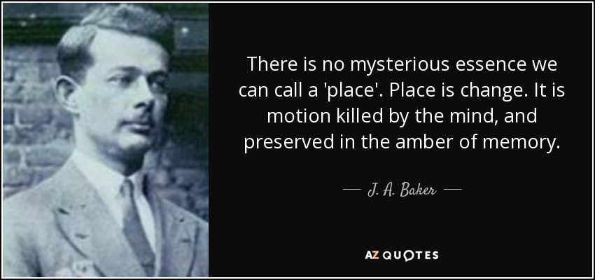 There is no mysterious essence we can call a 'place'. Place is change. It is motion killed by the mind, and preserved in the amber of memory. - J. A. Baker