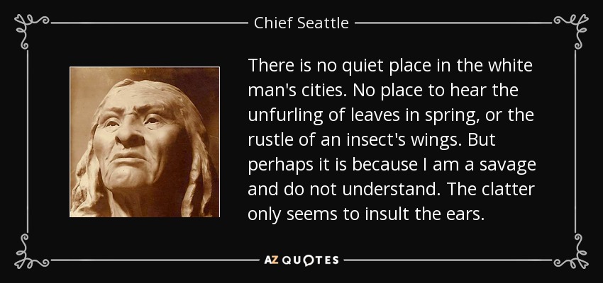 There is no quiet place in the white man's cities. No place to hear the unfurling of leaves in spring, or the rustle of an insect's wings. But perhaps it is because I am a savage and do not understand. The clatter only seems to insult the ears. - Chief Seattle