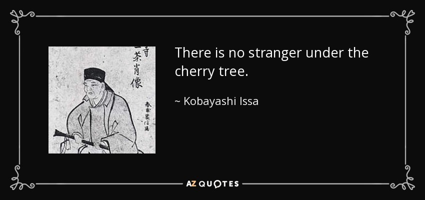 There is no stranger under the cherry tree. - Kobayashi Issa