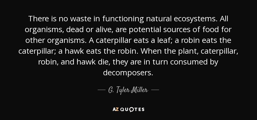 There is no waste in functioning natural ecosystems. All organisms, dead or alive, are potential sources of food for other organisms. A caterpillar eats a leaf; a robin eats the caterpillar; a hawk eats the robin. When the plant, caterpillar, robin, and hawk die, they are in turn consumed by decomposers. - G. Tyler Miller