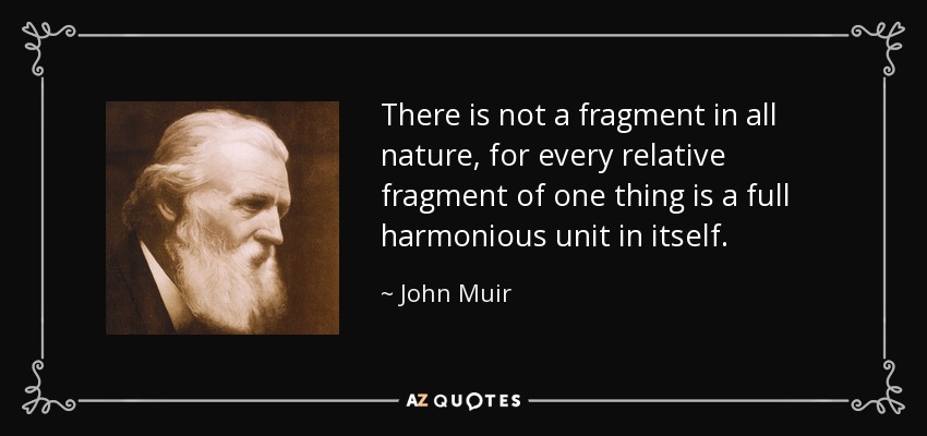 There is not a fragment in all nature, for every relative fragment of one thing is a full harmonious unit in itself. - John Muir