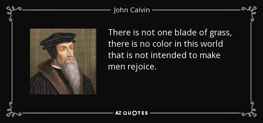 There is not one blade of grass, there is no color in this world that is not intended to make men rejoice. - John Calvin