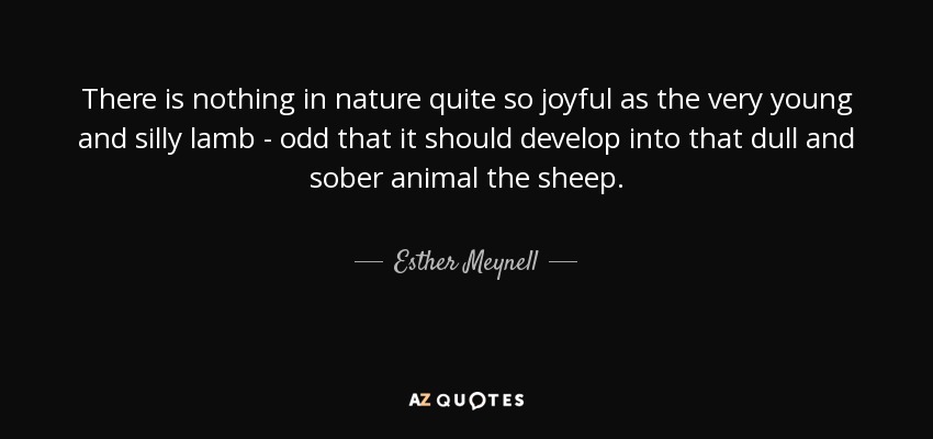 There is nothing in nature quite so joyful as the very young and silly lamb - odd that it should develop into that dull and sober animal the sheep. - Esther Meynell