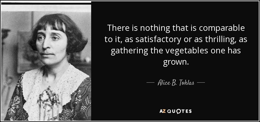 There is nothing that is comparable to it, as satisfactory or as thrilling, as gathering the vegetables one has grown. - Alice B. Toklas