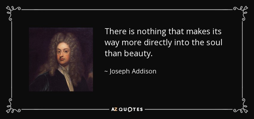 There is nothing that makes its way more directly into the soul than beauty. - Joseph Addison