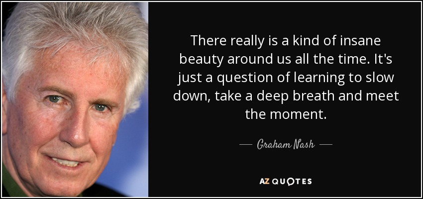 There really is a kind of insane beauty around us all the time. It's just a question of learning to slow down, take a deep breath and meet the moment. - Graham Nash