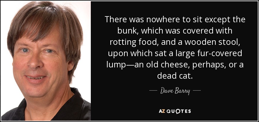 There was nowhere to sit except the bunk, which was covered with rotting food, and a wooden stool, upon which sat a large fur-covered lump—an old cheese, perhaps, or a dead cat. - Dave Barry