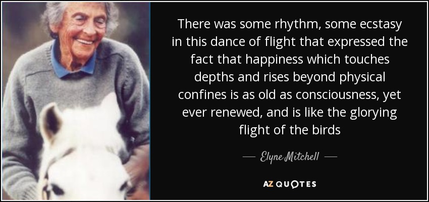 There was some rhythm, some ecstasy in this dance of flight that expressed the fact that happiness which touches depths and rises beyond physical confines is as old as consciousness, yet ever renewed, and is like the glorying flight of the birds - Elyne Mitchell