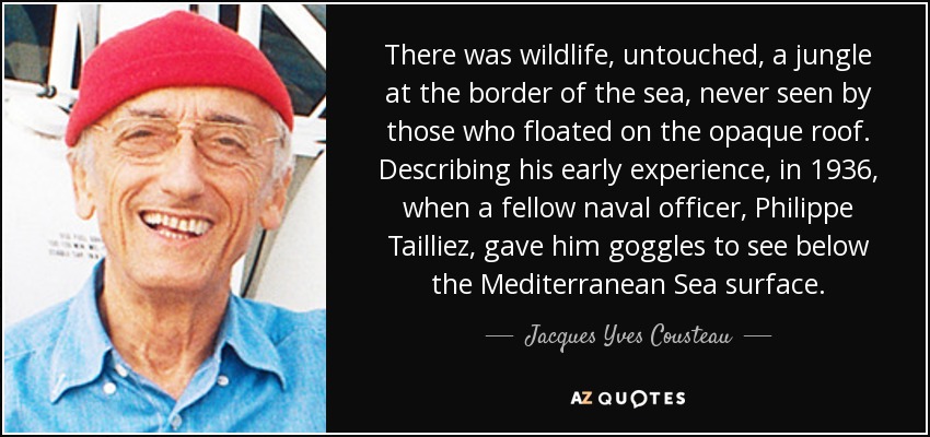 There was wildlife, untouched, a jungle at the border of the sea, never seen by those who floated on the opaque roof. Describing his early experience, in 1936, when a fellow naval officer, Philippe Tailliez, gave him goggles to see below the Mediterranean Sea surface. - Jacques Yves Cousteau