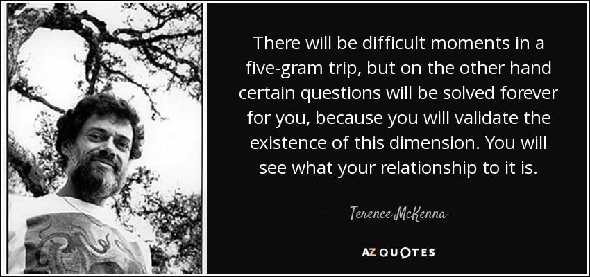 There will be difficult moments in a five-gram trip, but on the other hand certain questions will be solved forever for you, because you will validate the existence of this dimension. You will see what your relationship to it is. - Terence McKenna