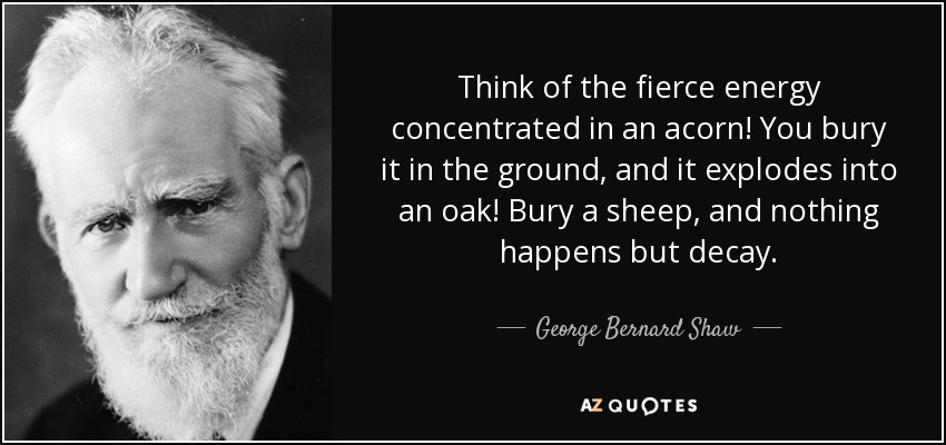 Think of the fierce energy concentrated in an acorn! You bury it in the ground, and it explodes into an oak! Bury a sheep, and nothing happens but decay. - George Bernard Shaw