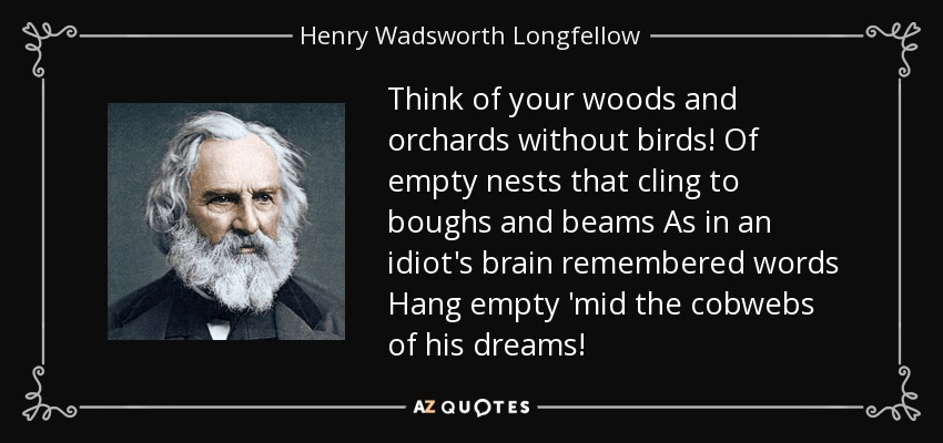 Think of your woods and orchards without birds! Of empty nests that cling to boughs and beams As in an idiot's brain remembered words Hang empty 'mid the cobwebs of his dreams! - Henry Wadsworth Longfellow