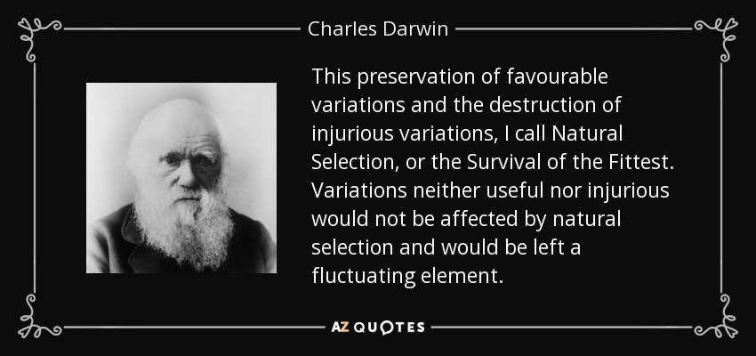 This preservation of favourable variations and the destruction of injurious variations, I call Natural Selection, or the Survival of the Fittest. Variations neither useful nor injurious would not be affected by natural selection and would be left a fluctuating element. - Charles Darwin