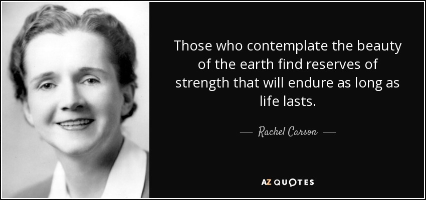 Those who contemplate the beauty of the earth find reserves of strength that will endure as long as life lasts. - Rachel Carson