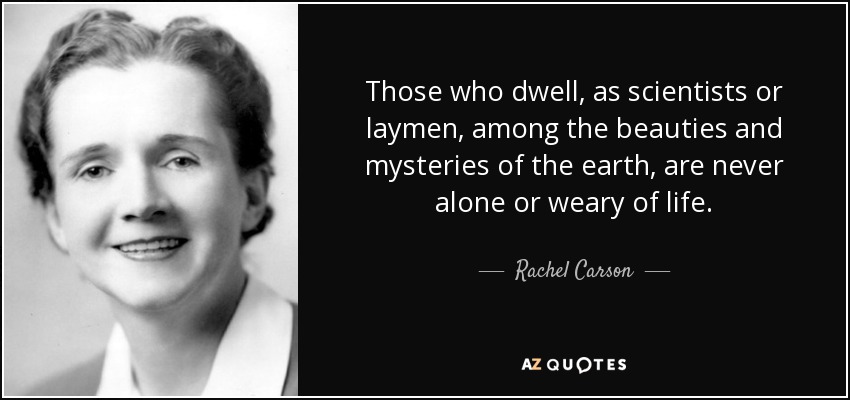 Those who dwell, as scientists or laymen, among the beauties and mysteries of the earth, are never alone or weary of life. - Rachel Carson