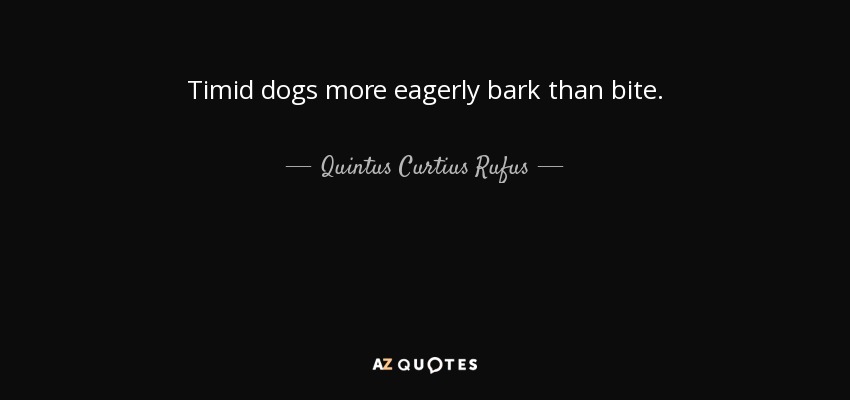 Timid dogs more eagerly bark than bite. - Quintus Curtius Rufus